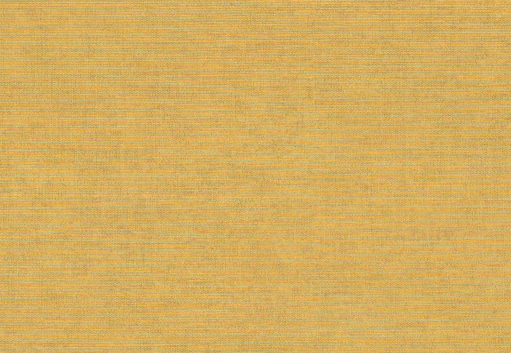Обои Jannelli & Volpi 171 Ikat 6416