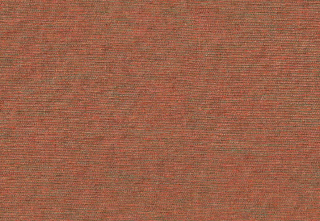 Обои Jannelli & Volpi 171 Ikat 6418