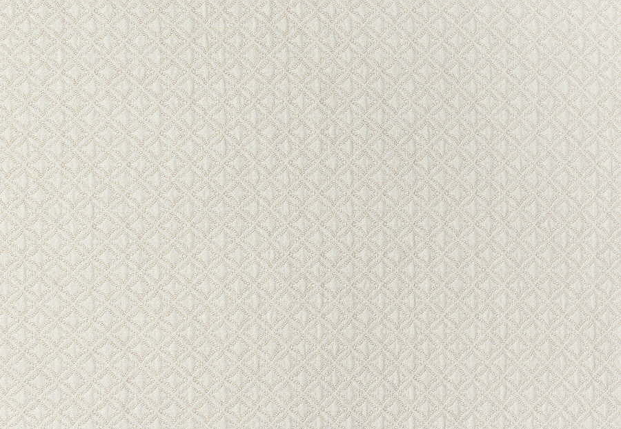 Ткань Thibaut Indoor Outdoor Portico W80026