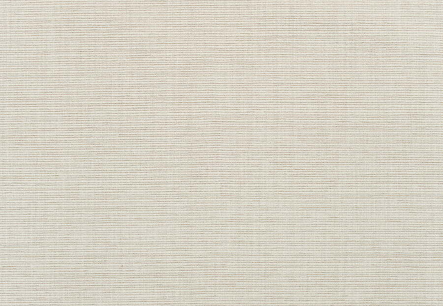 Ткань Thibaut Indoor Outdoor Oasis W80526
