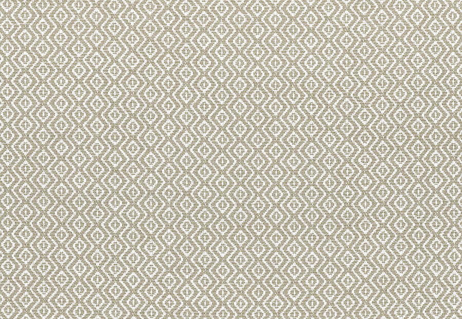 Ткань Thibaut Indoor Outdoor Oasis W80533