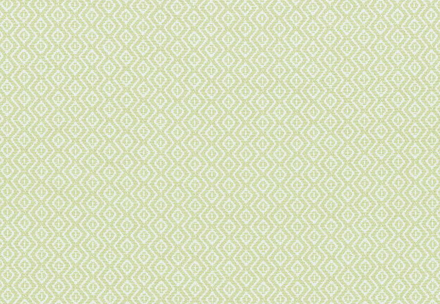 Ткань Thibaut Indoor Outdoor Oasis W80532