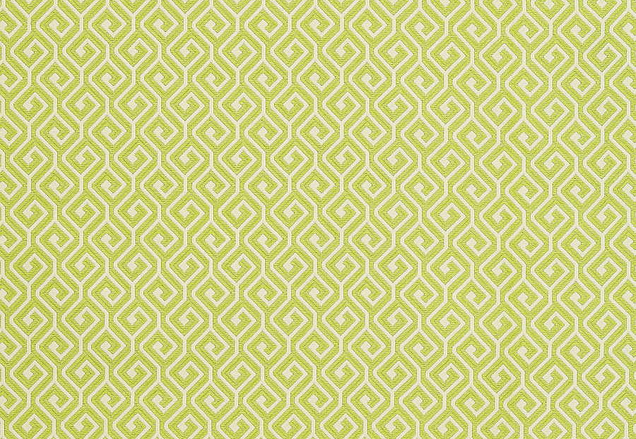 Ткань Thibaut Resort Wovens W77964