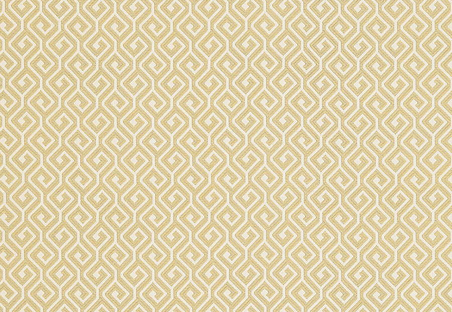 Ткань Thibaut Resort Wovens W77963