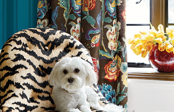 Ткань Thibaut Woven Resource vol.10 Menagerie W80450