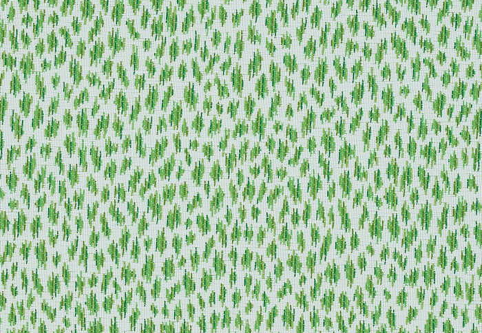 Ткань Thibaut Woven Resource vol.10 Menagerie W80456