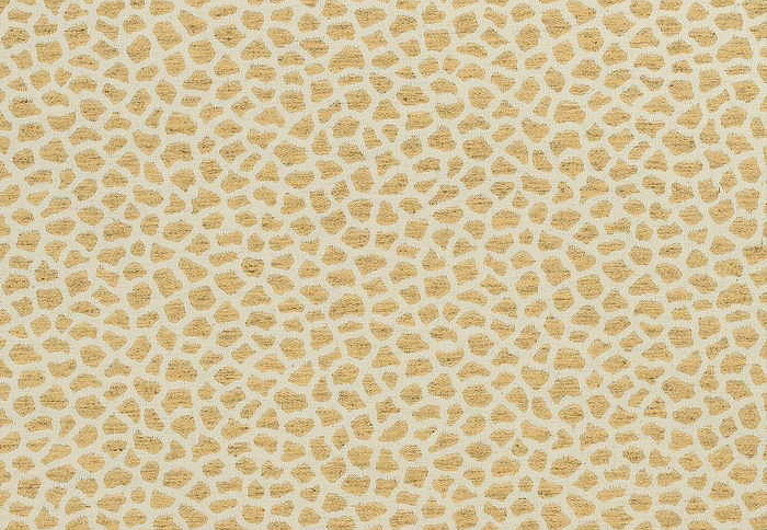 Ткань Thibaut Woven Resource vol.10 Menagerie W80425
