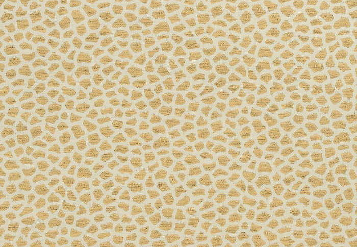 Ткань Thibaut Woven Resource vol.10 Menagerie W80425