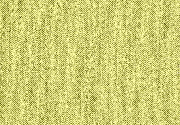 Ткань Thibaut Woven Resource vol.5 Herringbone W72937
