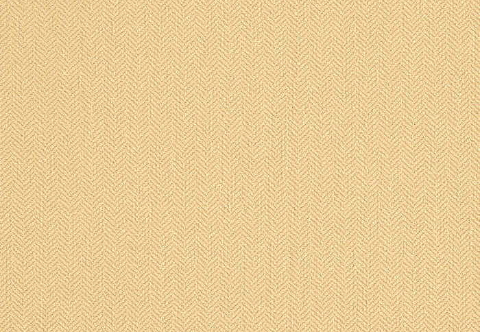 Ткань Thibaut Woven Resource vol.5 Herringbone W72941