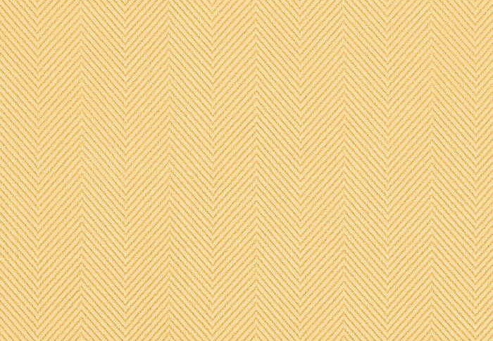 Ткань Thibaut Woven Resource vol.5 Herringbone W72924