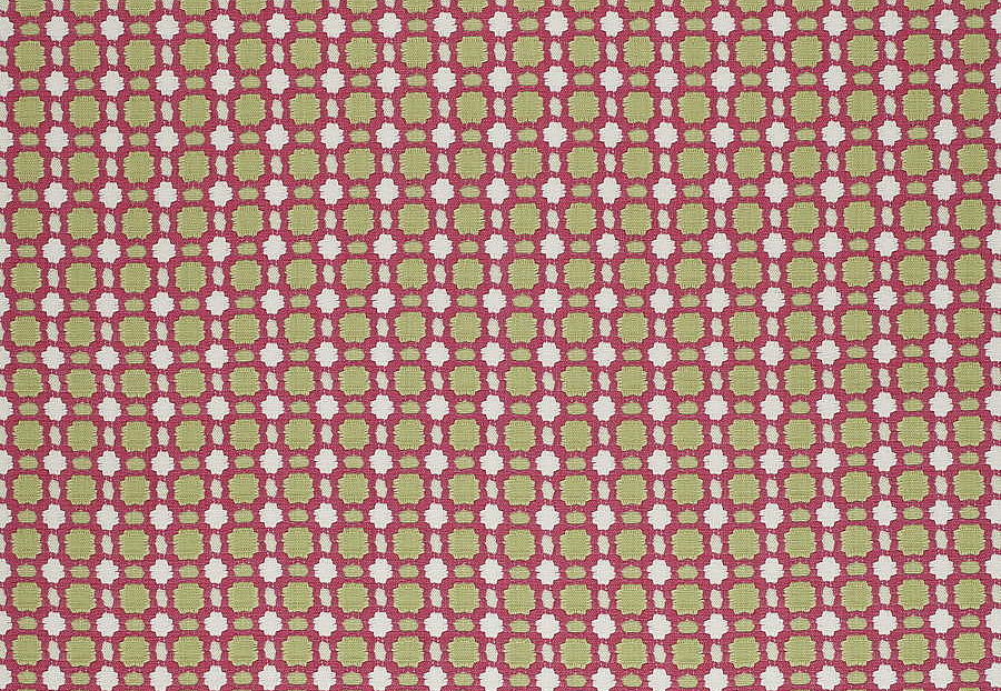 Ткань Thibaut Woven Resource vol.7 Companions W79619