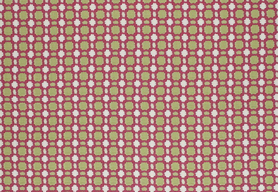 Ткань Thibaut Woven Resource vol.7 Companions W79619