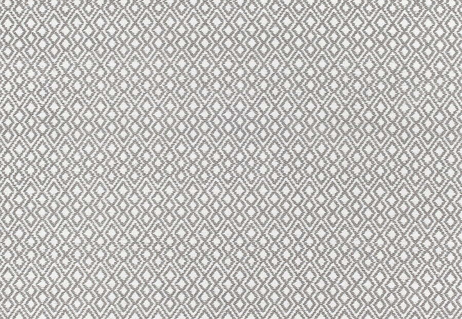 Ткань Thibaut Woven Resource vol.7 Companions W79646
