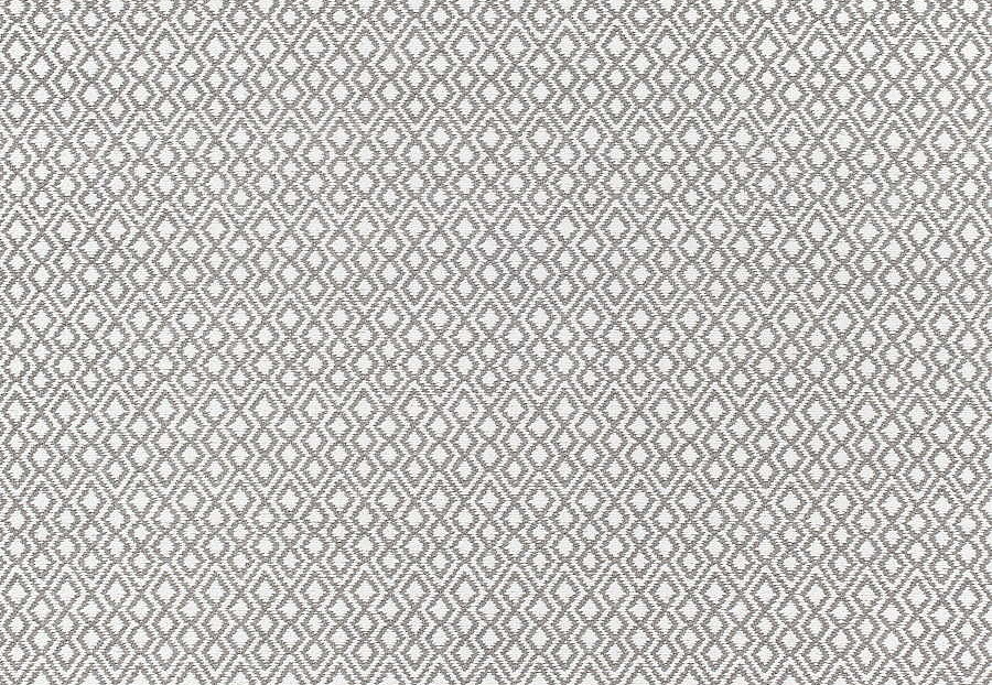 Ткань Thibaut Woven Resource vol.7 Companions W79646