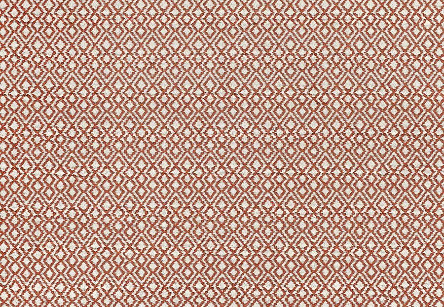 Ткань Thibaut Woven Resource vol.7 Companions W79642