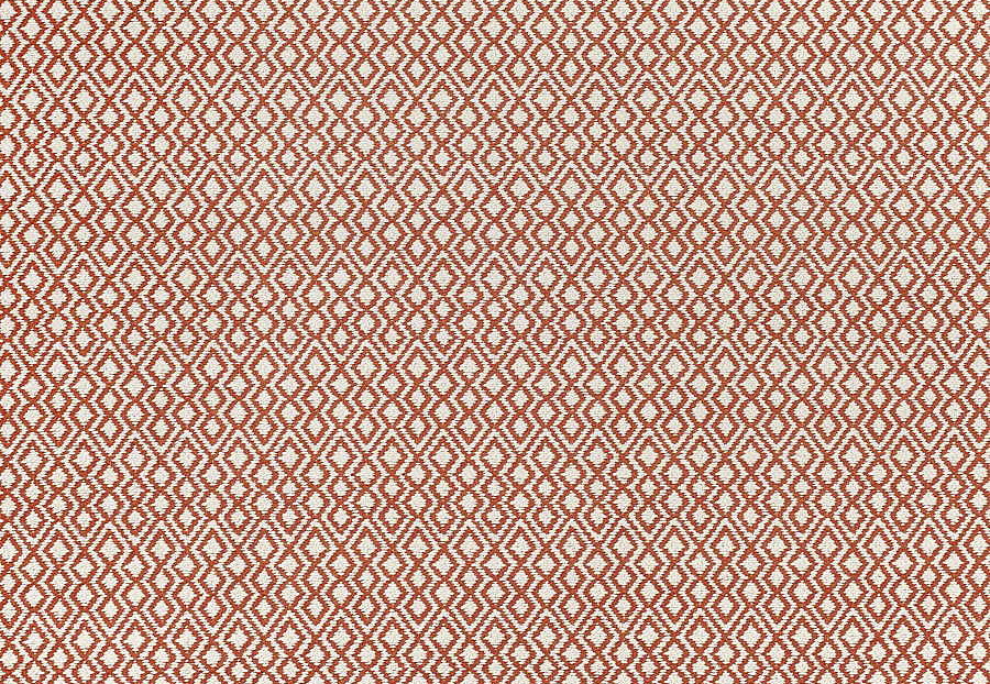 Ткань Thibaut Woven Resource vol.7 Companions W79642