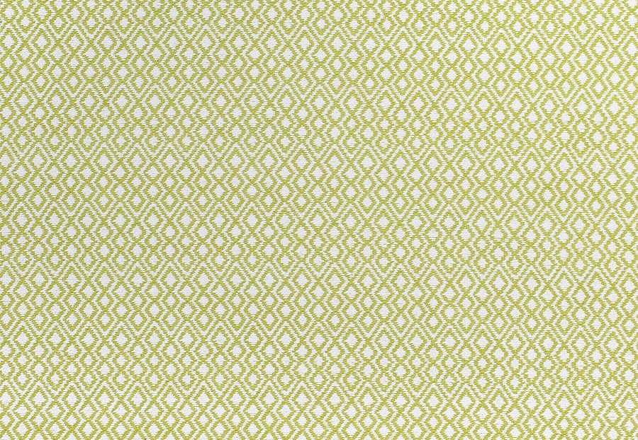 Ткань Thibaut Woven Resource vol.7 Companions W79641