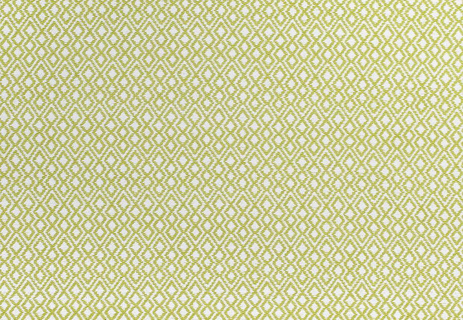 Ткань Thibaut Woven Resource vol.7 Companions W79641