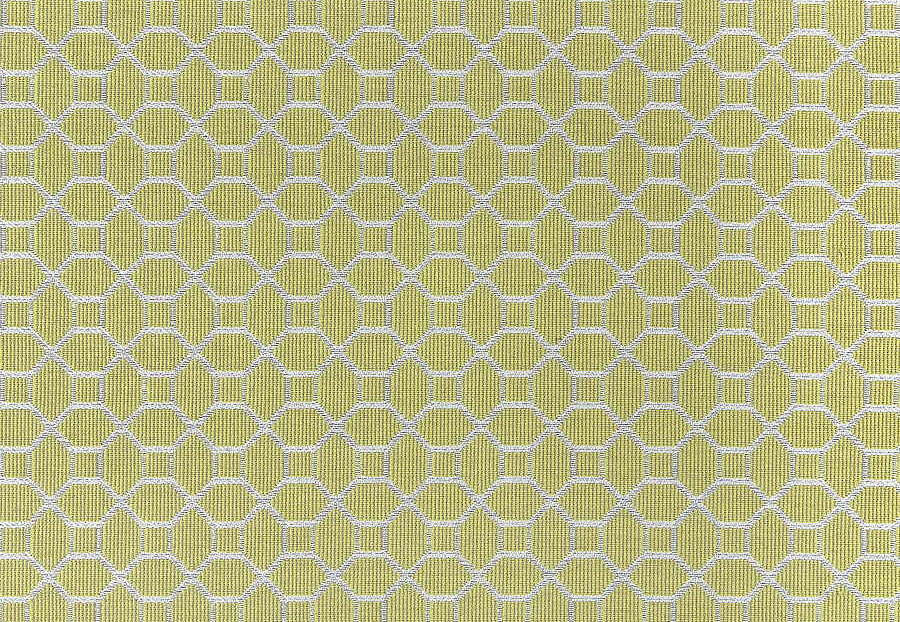 Ткань Thibaut Woven Resource vol.7 Companions W79637