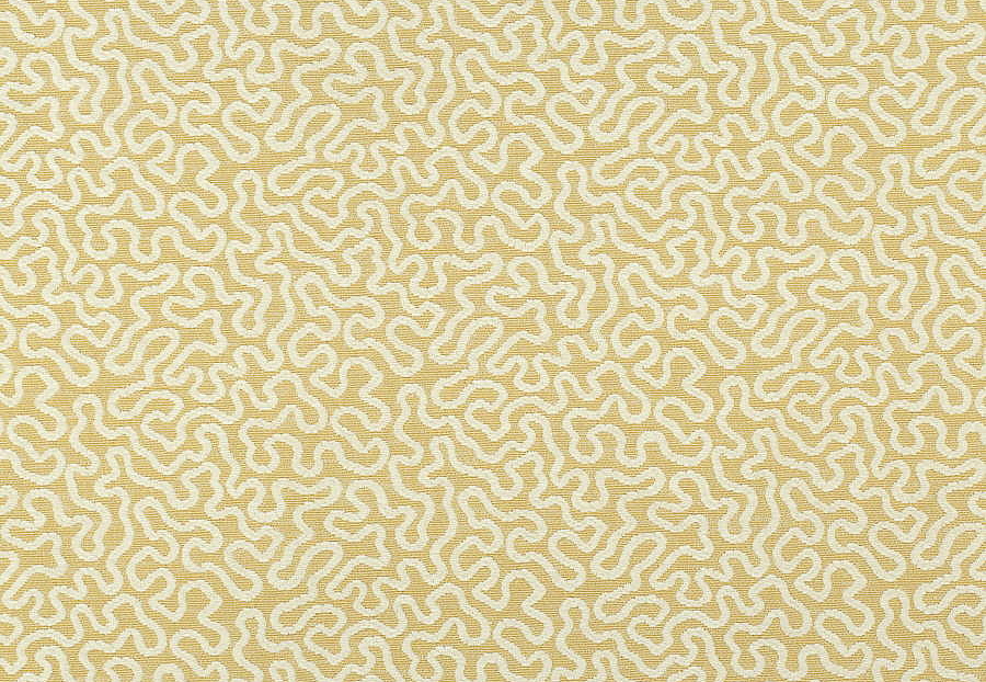 Ткань Thibaut Woven Resource vol.7 Companions W79656