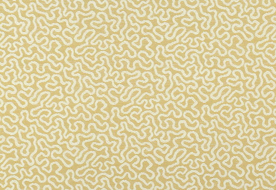 Ткань Thibaut Woven Resource vol.7 Companions W79656