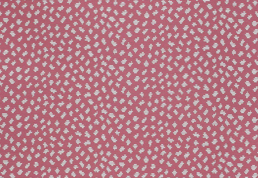 Ткань Thibaut Woven Resource vol.7 Companions W79624