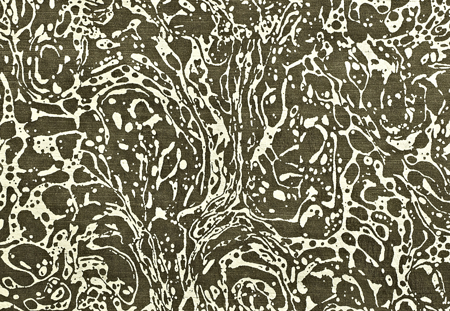 Ткань Prestigious Textiles Safari 1737/903