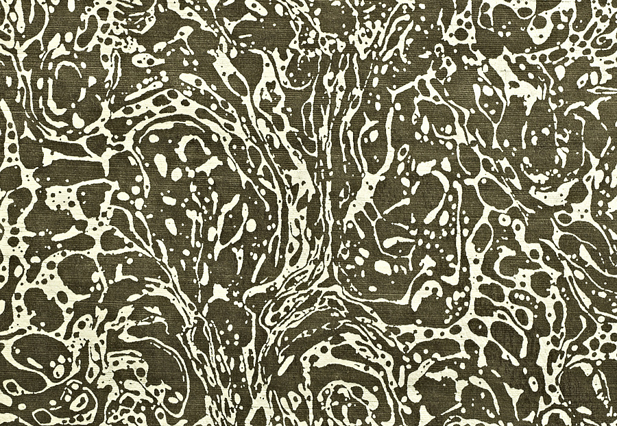 Ткань Prestigious Textiles Safari 1737/903