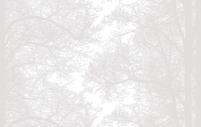 Финские обои Sandudd, коллекция Vallila Pohjola, артикул 5272-1