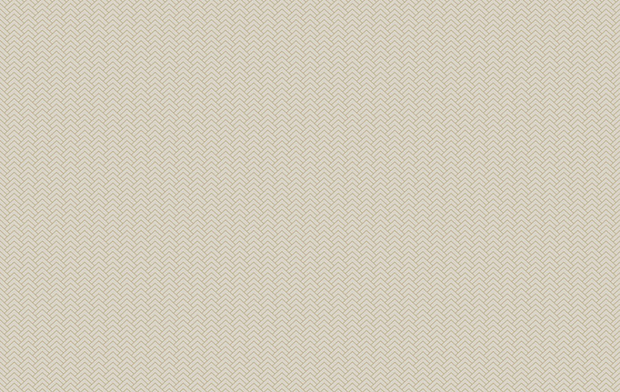 Бельгийские обои Hookedonwalls, коллекция Tinted Tiles, артикул 29075