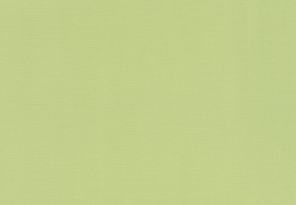 Обои Rasch Hyde Park 411829