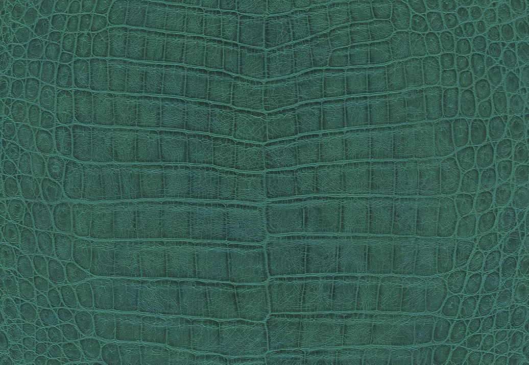 Обои Rasch Mandalay 528718