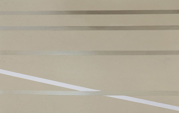 Английские обои Fromental, коллекция Roomskins, артикул Lacets/Featherbone