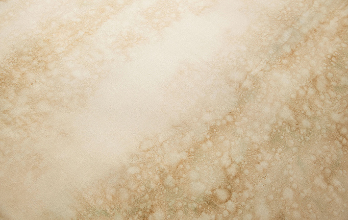 Английские обои Fromental, коллекция Roomskins, артикул Saltwood/Kingsley