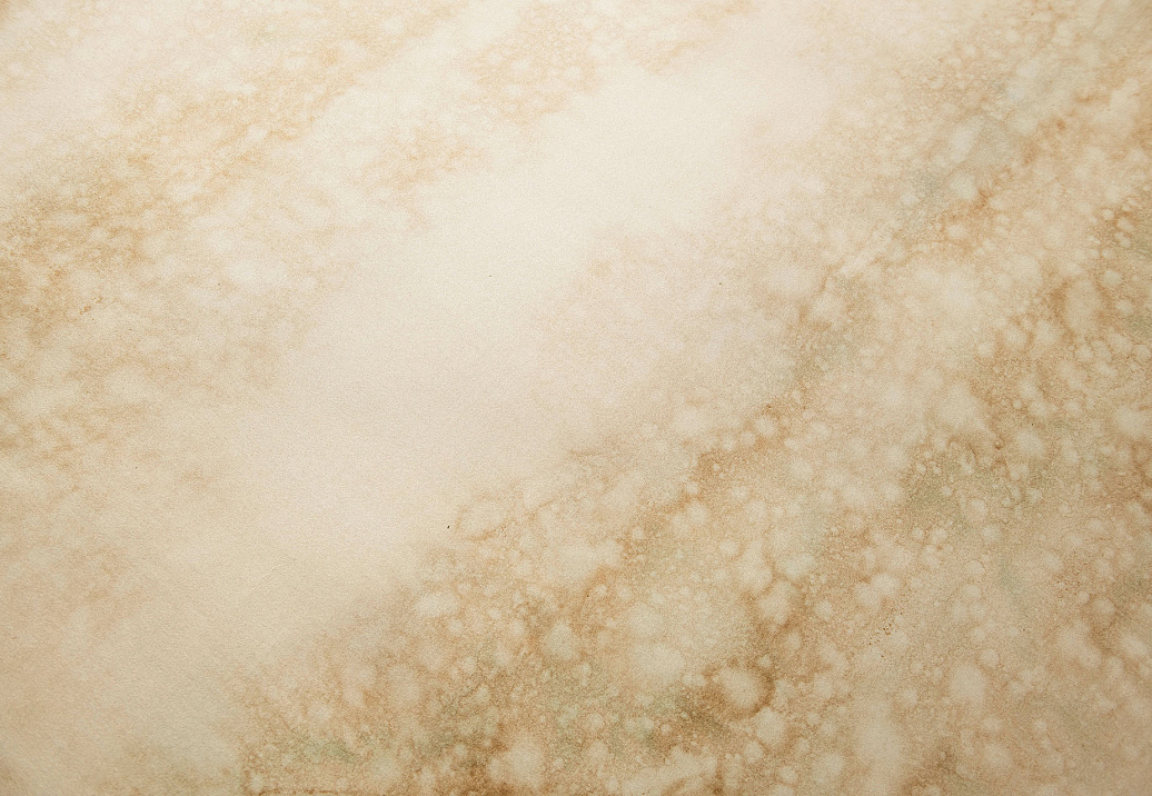 Обои Fromental Roomskins Saltwood/Kingsley
