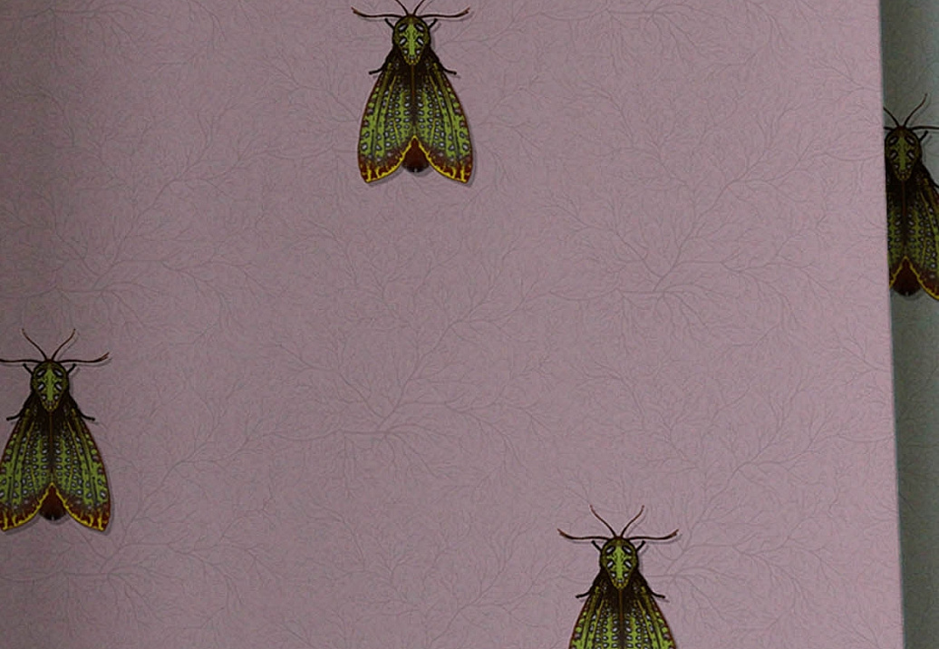Обои Timorous Beasties Ruskin RUS/PPDN/MICA/04
