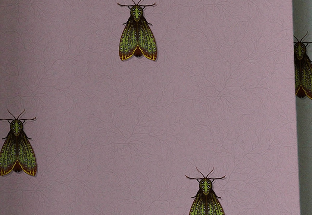 Обои Timorous Beasties Ruskin RUS/PPDN/MICA/04