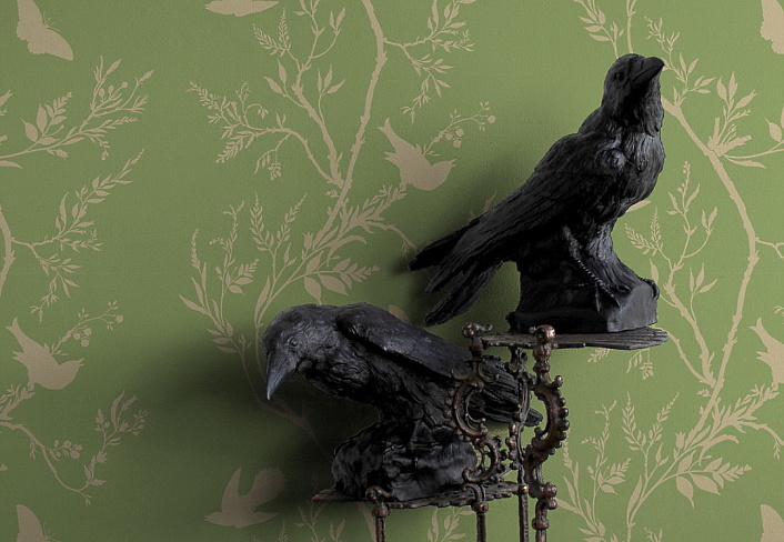Обои Timorous Beasties Studio EX/BBS/5002/08