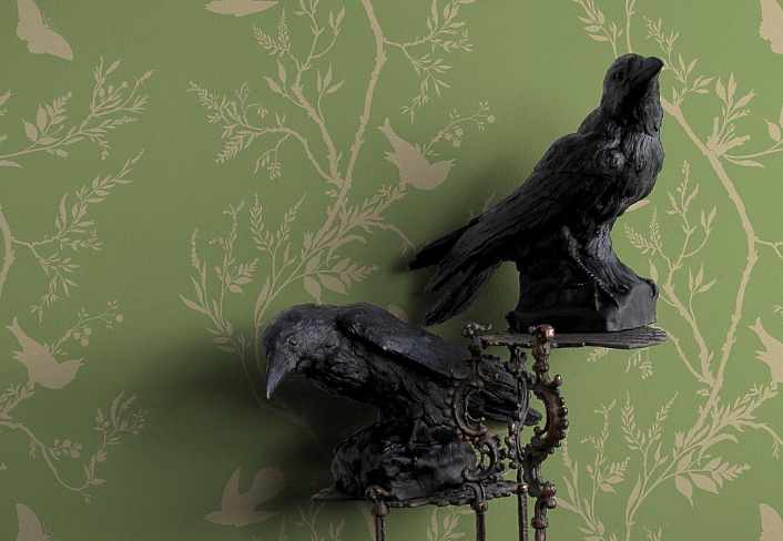 Обои Timorous Beasties Studio EX/BBS/5002/08