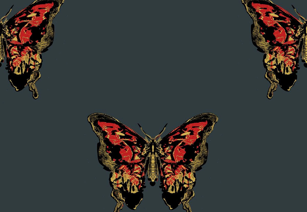 Обои Timorous Beasties Studio EX/BFLY/4007/01