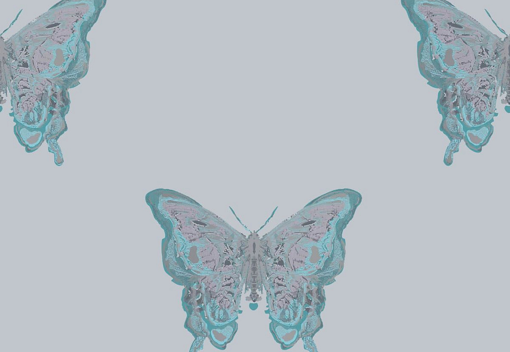 Обои Timorous Beasties Studio EX/BFLY/4232/06