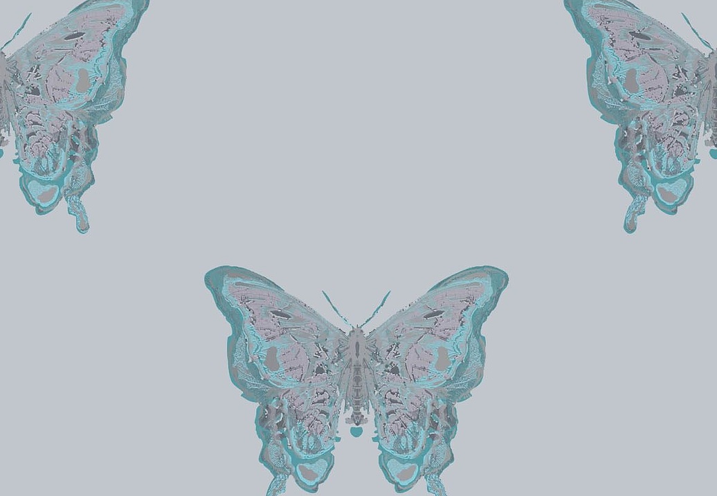 Обои Timorous Beasties Studio EX/BFLY/4232/06