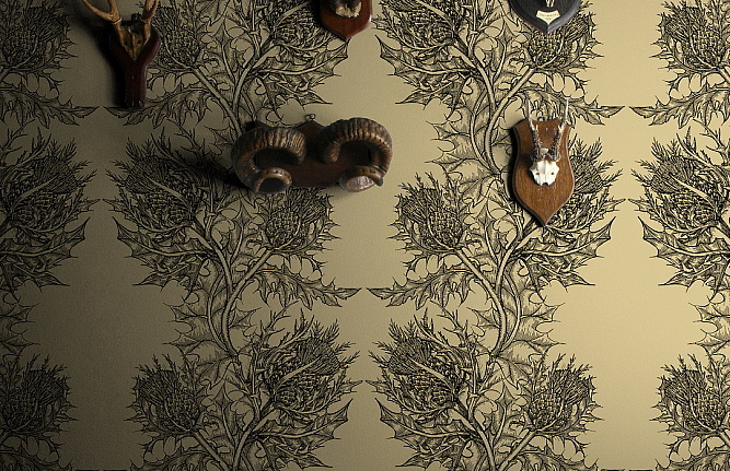 Обои Timorous Beasties Stock HS/THL/4002/08