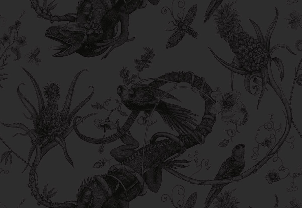 Обои Timorous Beasties Stock SWP/IGU/BLK/05