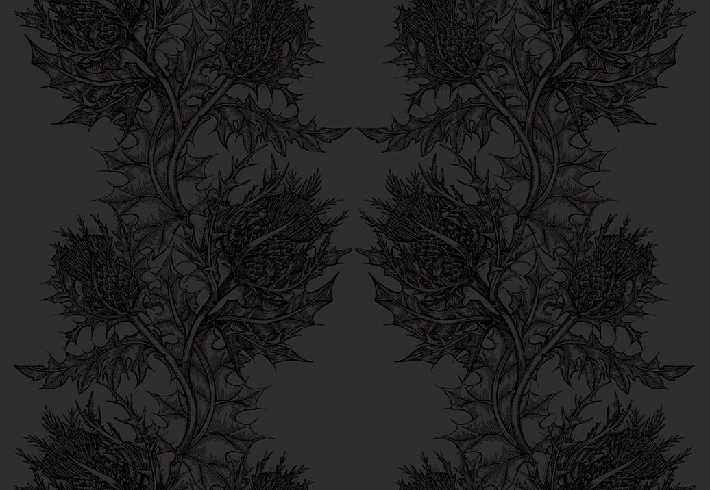 Обои Timorous Beasties Stock SWP/THL/BLK/05