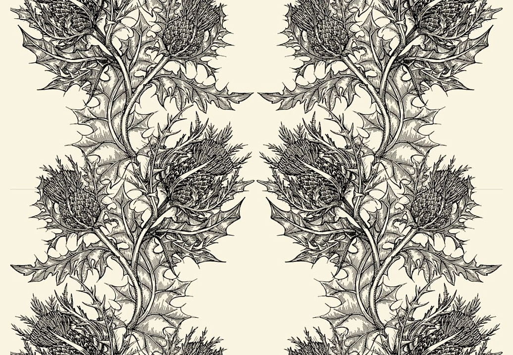Обои Timorous Beasties Stock SWP/THL/IVY/01