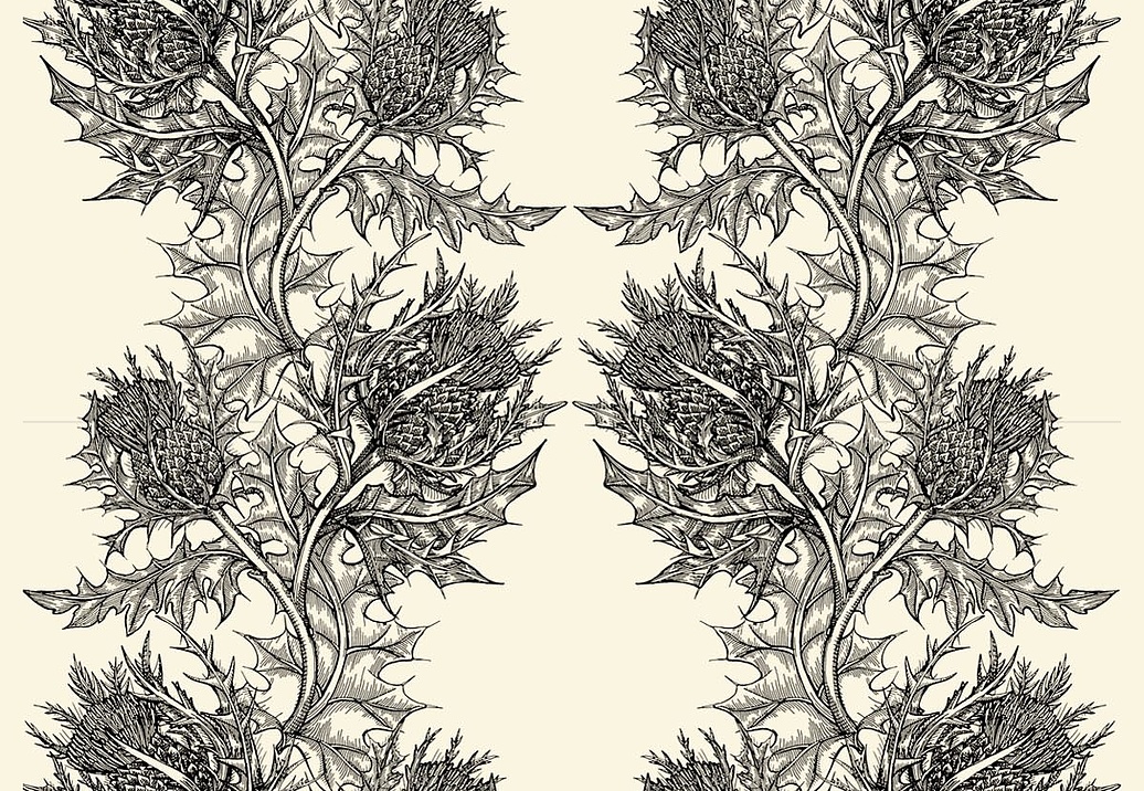 Обои Timorous Beasties Stock SWP/THL/IVY/01