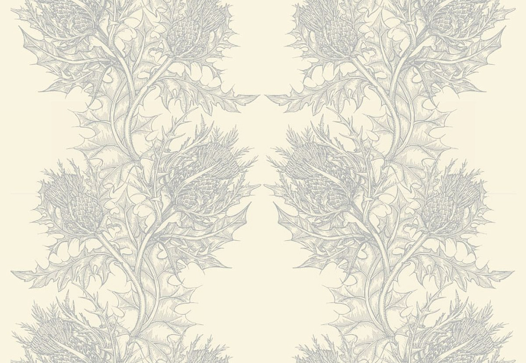 Обои Timorous Beasties Stock SWP/THL/IVY/02