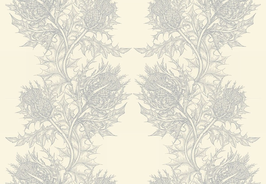 Обои Timorous Beasties Stock SWP/THL/IVY/02